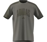 adidas Herren Collegiate T-Shirt, Silver Pebble/Olive strata, XS