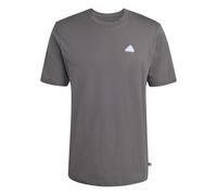 adidas Herren Color Icon Graphic T-Shirt, Grey Five, XS
