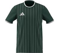 Adidas Entrada 26 Graphic Short Sleeve T-shirt Vert 2XL / Regular Homme