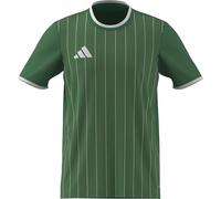 Adidas Entrada 26 Graphic Short Sleeve T-shirt Vert XS / Regular Homme