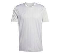 adidas Herren Entrada26 Graphic Jersey, Team Light Grey/White, M