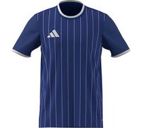 adidas Herren Entrada26 Graphic Jersey, Team Royal Blue/White, XS