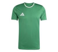 adidas Herren Entrada26 Jersey, Team Green/White, S