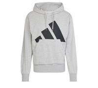 adidas Herren Essentials BIG Logo French Terry Hoodie, Medium Grey Heather/Black, XL