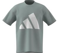 adidas Herren Essentials BIG Logo Single Jersey Tee, Wonder Sage/White, L