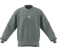 Adidas Herren Essentials FEELCOZY Fleece Sweatshirt, Wonder Sage/White, XL Tall