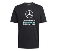 adidas Herren Mercedes - AMG Petronas Formula 1 Team DNA Graphic Tee, Black/Semi Mint Rush, XL