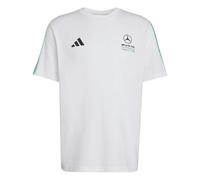 adidas Herren Mercedes - AMG Petronas Formula 1 Team DNA Tee, White/Semi Mint Rush, M