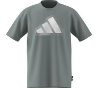 adidas Herren Modern Essentials Graphic T-Shirt, Wonder Sage, M