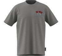 adidas Herren Novelty Dart Graphic T-Shirt, MGH Solid Grey, XXL