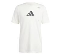 adidas Homme AEROREADY All-Gym Category Graphic Tee, Chalk White, L