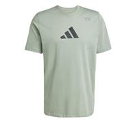 adidas Homme AEROREADY All-Gym Category Graphic Tee, Silver Green, L