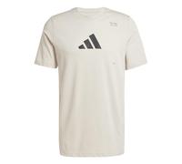 adidas Homme AEROREADY All-Gym Category Graphic Tee, Wonder Alumina, M