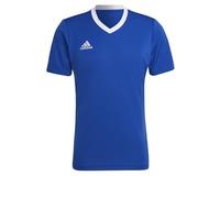 adidas Homme Entrada 22 Jersey, Royal Blue, L Long