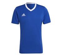 adidas Homme Entrada 22 Jersey, Royal Blue, S