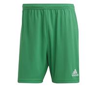 Adidas Homme Entrada 22 Shorts, Team Green, L