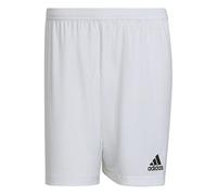 adidas Homme Entrada 22 Shorts, White, XL