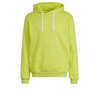 Adidas Homme Entrada 22 Sweat Hoodie