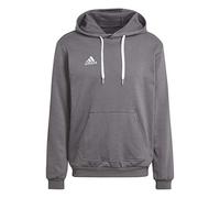 adidas Homme Entrada 22 Sweat Hoodie, Team Grey Four, M