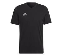adidas Homme Entrada 22 Tee, Black, S Tall