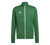 adidas Homme Entrada 22 Track Jacket, Team Green/White, M