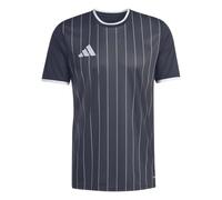 adidas Homme Entrada26 Graphic Jersey Shirt, Black/White, XL