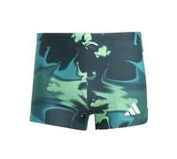 adidas Homme Graphic Swim Boxers, Aurora Ivy/White, 38