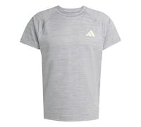 adidas Homme Gym+ T-Shirt, Halo Silver, L