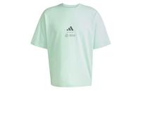 ADIDAS PERFORMANCE T-Shirt fonctionnel 'Mercedes - AMG Petronas Formula One Team Premium' gris / menthe, Taille XS