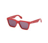 Adidas Homme OR0110 66A Lunettes de soleil Acétate Rouge Fumée Carré Normale
