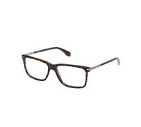 Adidas Homme OR5074 52 Montures optiques Acétate Havane Carré Normale
