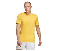 adidas Homme Run IT Tee, Bold Gold, M