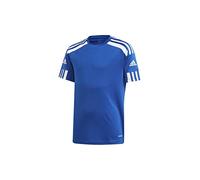 adidas Homme Squad 21 JSY SS Jersey(Short Sleeve), Royblu/White, XXL