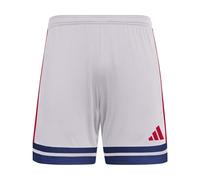 adidas Homme SQUADRA25 Short, Glory Grey/Team Navy Blue 2/Pure Ruby, XXL
