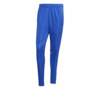 adidas Homme SQUADRA25 Training Pant, Team Royal Blue/Team Yellow, L