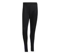 adidas Homme Squadra25 Training Pants, Black/Purple Rush, M