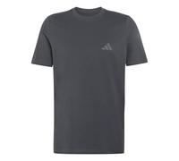 adidas Homme Terrex Mountain Graphic Shirt, Carbon, XS