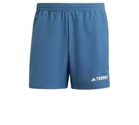 adidas Homme Terrex Multi Shorts, Wonder Steel, M