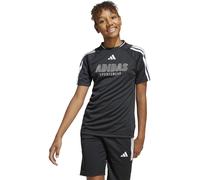 Adidas House Of Tiro T-Shirt Juniors Noir/Blanc 11-12 ans Male