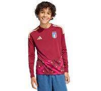 ADIDAS PERFORMANCE T-Shirt fonctionnel 'Italy 26 Home Goalkeeper Kids Long Sleeve' mélange de couleurs / rouge, Taille 128