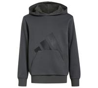 Sweatshirt à capuche classique enfant adidas Essentials Gris 7/8 ans