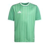 adidas Kids' Maillot Graphique Entrada 26 Enfants