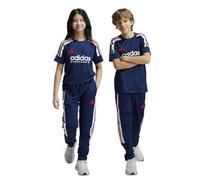 adidas Kids' Pantalon Tiro Nations Pack Enfants, Team Navy Blue 2 / White/Better Scarlet, 15-16A
