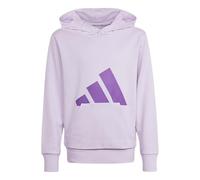 adidas Kids' Sweat-Shirt à Capuche Essentials Enfants