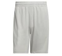 adidas Legends 3-Stripes Basketball Shorts, Shorts pour des Hommes, Metal Grey/White, IP2578