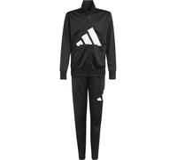 Adidas Essentials Big Logo Climacool Tracksuit Noir 13-14 Years Garçons,Filles