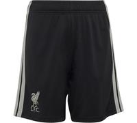 Adidas Liverpool Fc 26/27 Third Junior Shorts Noir 15-16 Years Enfants
