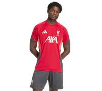 Adidas Lfc Trn Jsy Sn62 Rouge/Blanc XL Male