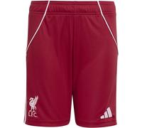 Adidas Liverpool Home Shorts 2025 2026 Juniors Rouge 13 ans Male