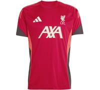 Adidas Lfc Trn Jsy Sn62 Rouge/Blanc XL Male